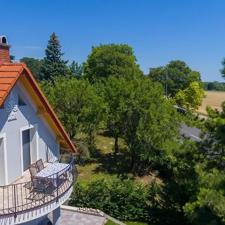 Tulipan Vendeghaz اورفينيس