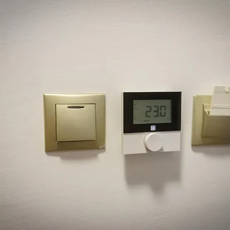 Tulipan Vendeghaz اورفينيس