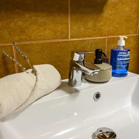 Tulipán 3* Orvenyes