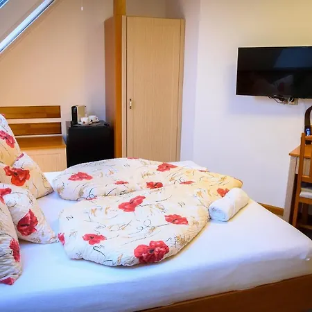 Tulipán 3* Orvenyes