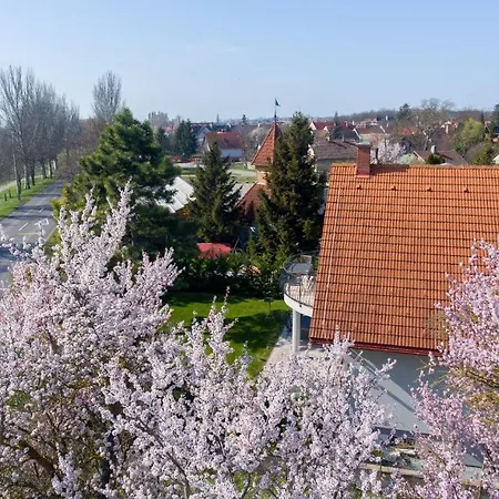 Tulipan Vendeghaz بيت ضيافة اورفينيس