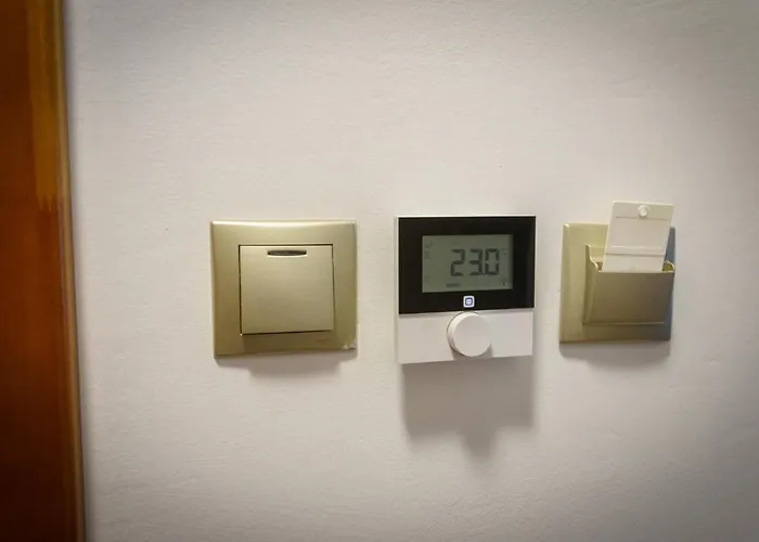 Tulipan Vendeghaz אורבייניאש