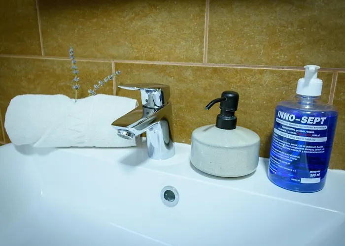 בית הארחה Tulipan Vendeghaz