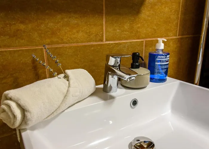 Tulipan Vendeghaz 3* אורבייניאש