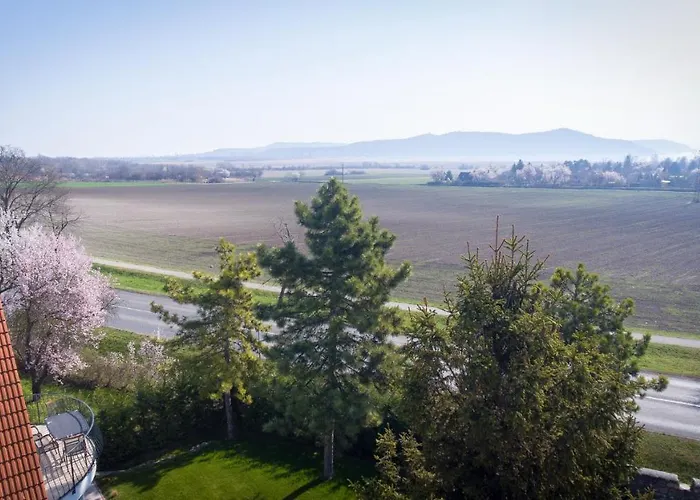 Tulipan Vendeghaz אורבייניאש