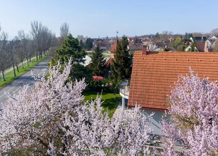 Tulipan Vendeghaz בית הארחה אורבייניאש